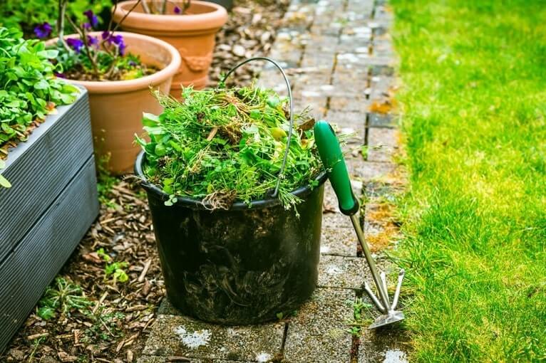 How to get_rid of garden weeds permanently